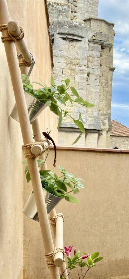 Tresors De La Cathedrale, Maison De Ville Sur 4 Niveaux ناربون المظهر الخارجي الصورة